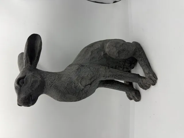 Alert hare - Graphite
