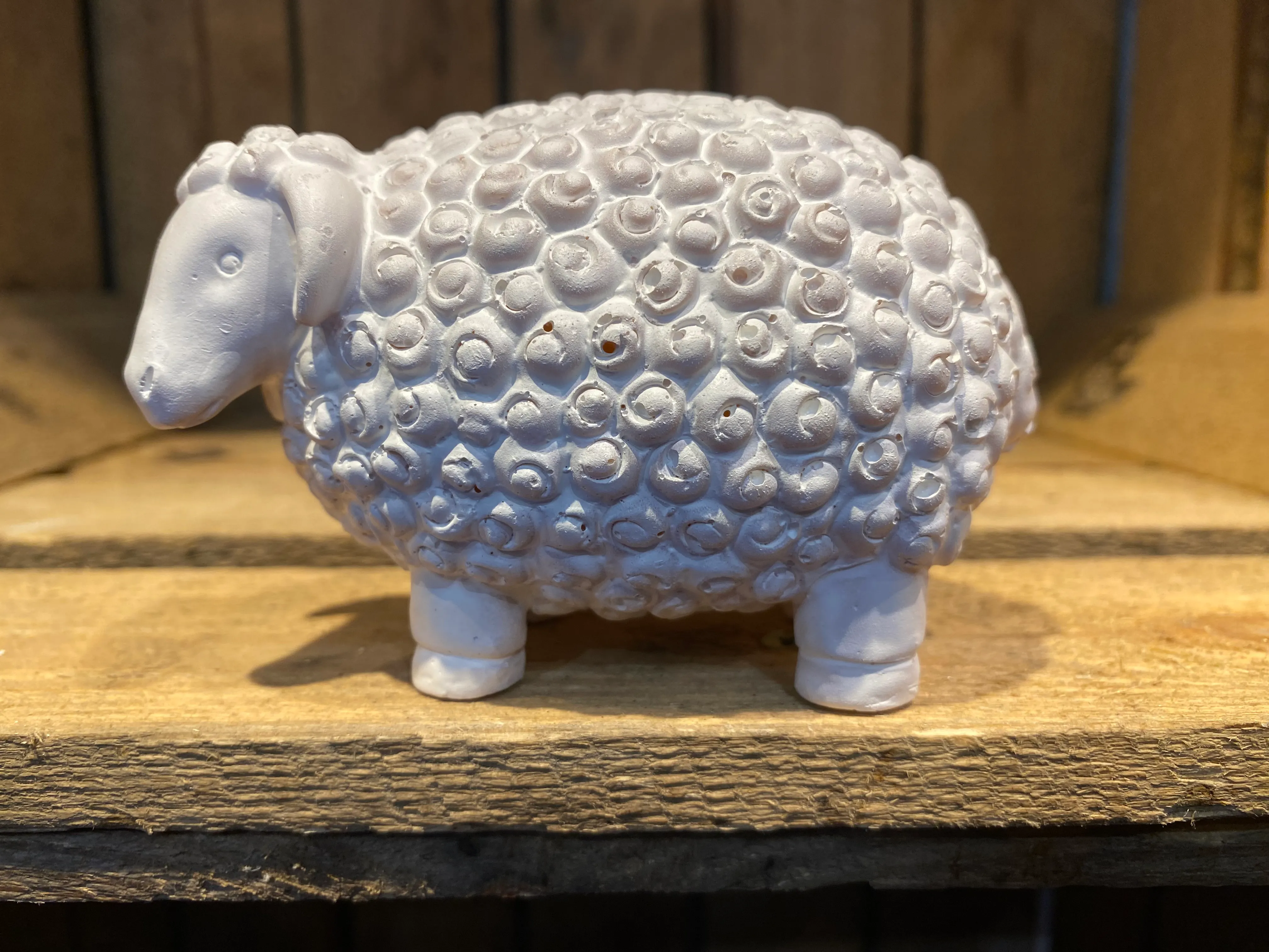 Miniature Curly Sheep White